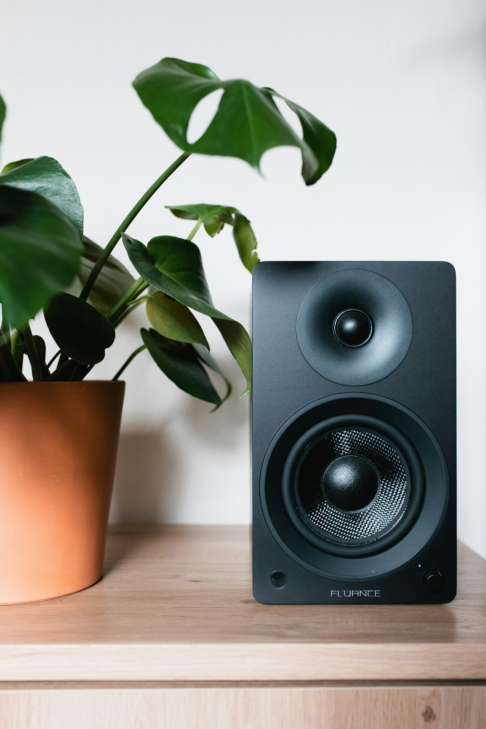 Portable Speaker